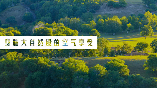 技術(shù)能力強(qiáng)