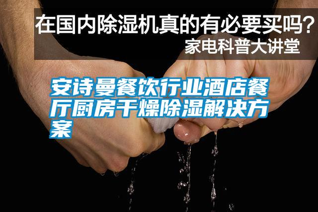 餐飲行業(yè)酒店餐廳廚房干燥除濕解決方案
