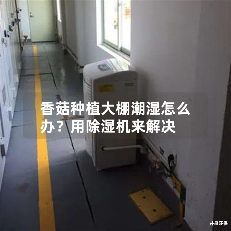 香菇種植大棚潮濕怎么辦<div   id=