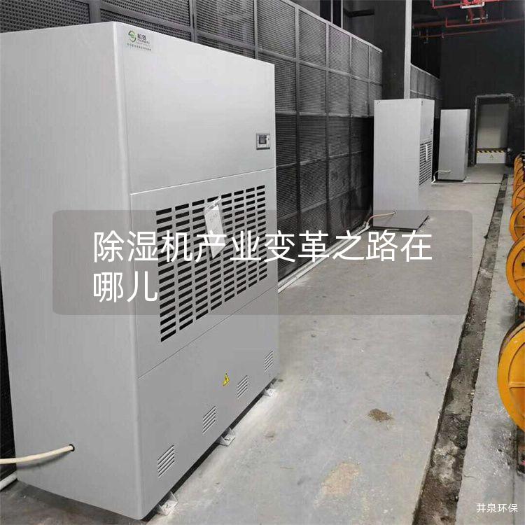除濕機(jī)產(chǎn)業(yè)變革之路在哪兒