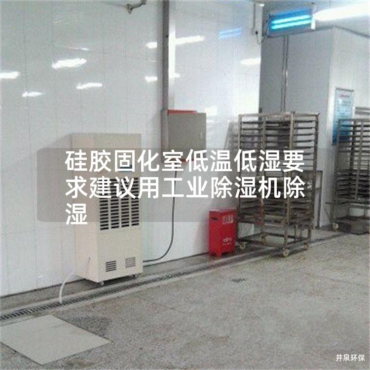 硅膠固化室低溫低濕要求建議用工業(yè)除濕機(jī)除濕