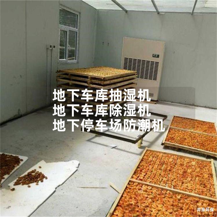 地下車(chē)庫(kù)抽濕機(jī) 地下車(chē)庫(kù)除濕機(jī) 地下停車(chē)場(chǎng)防潮機(jī)