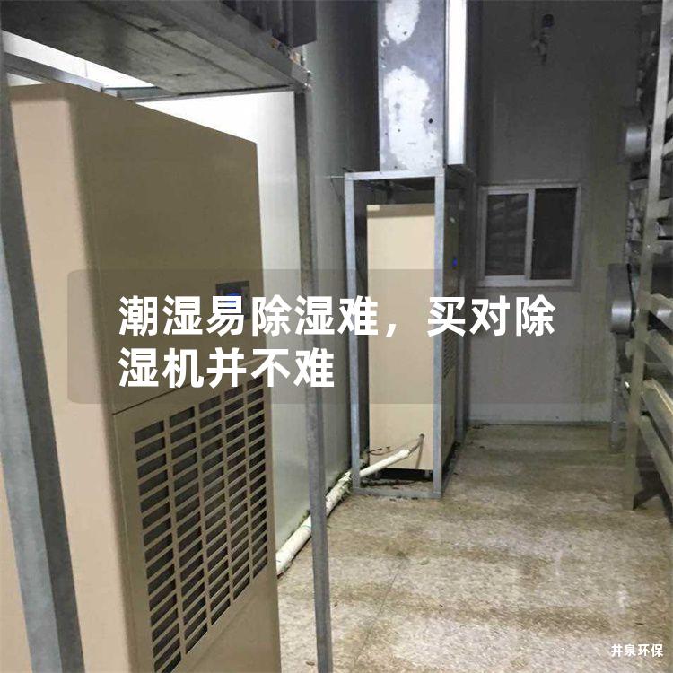 潮濕易除濕難<div   id=