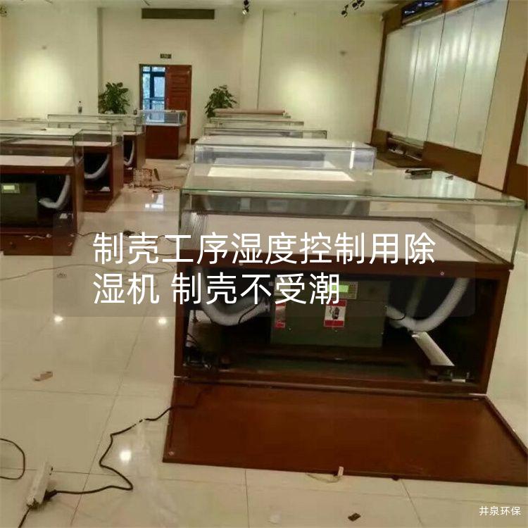 制殼工序濕度控制用除濕機(jī) 制殼不受潮