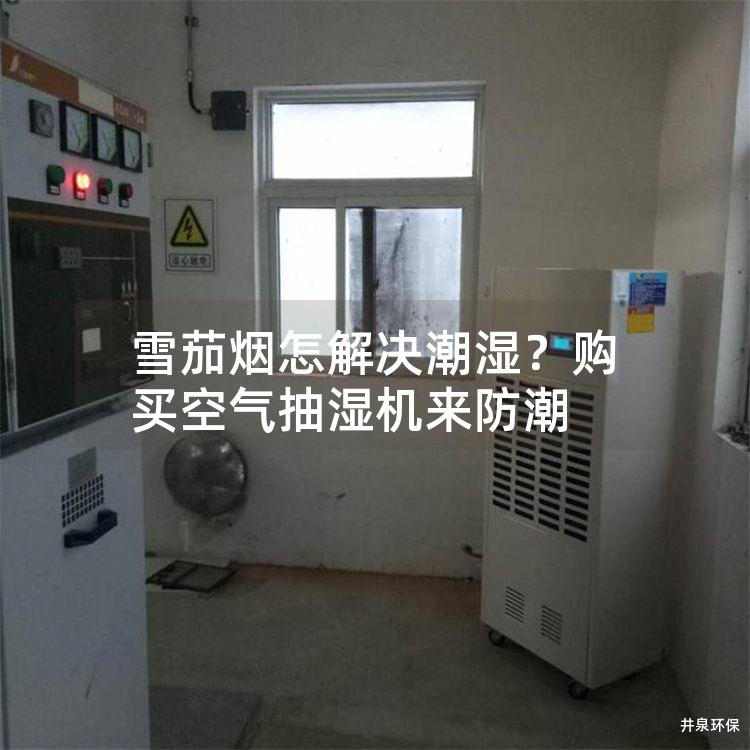 雪茄煙怎解決潮濕？購買空氣抽濕機(jī)來防潮