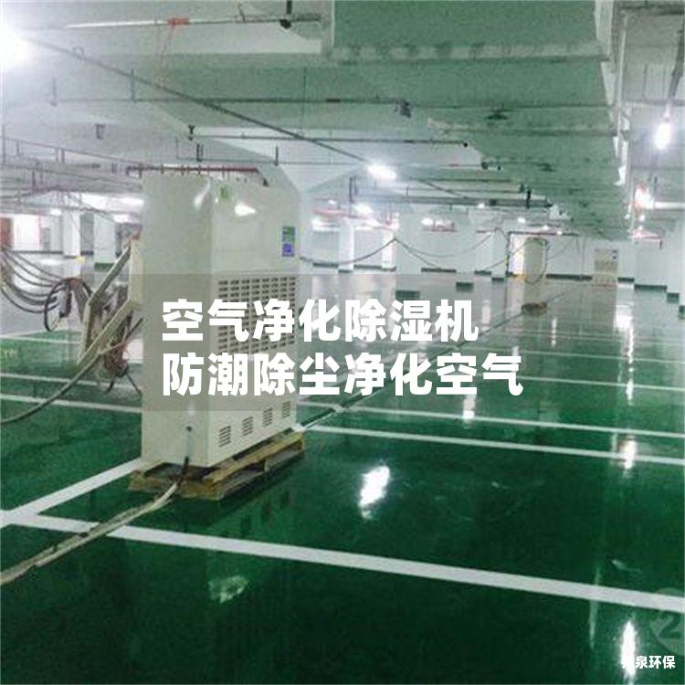 空氣凈化除濕機(jī) 防潮除塵凈化空氣