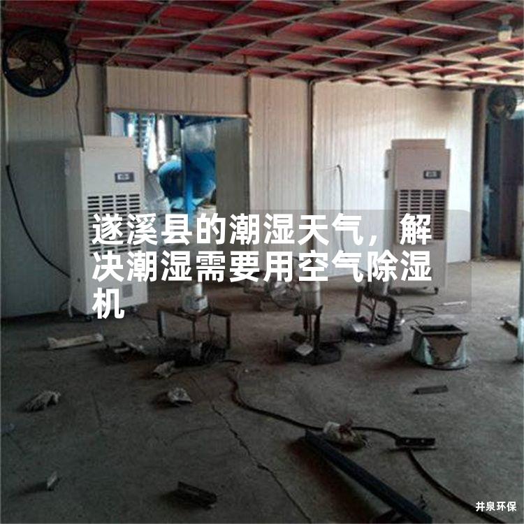 遂溪縣的潮濕天氣<div   id=