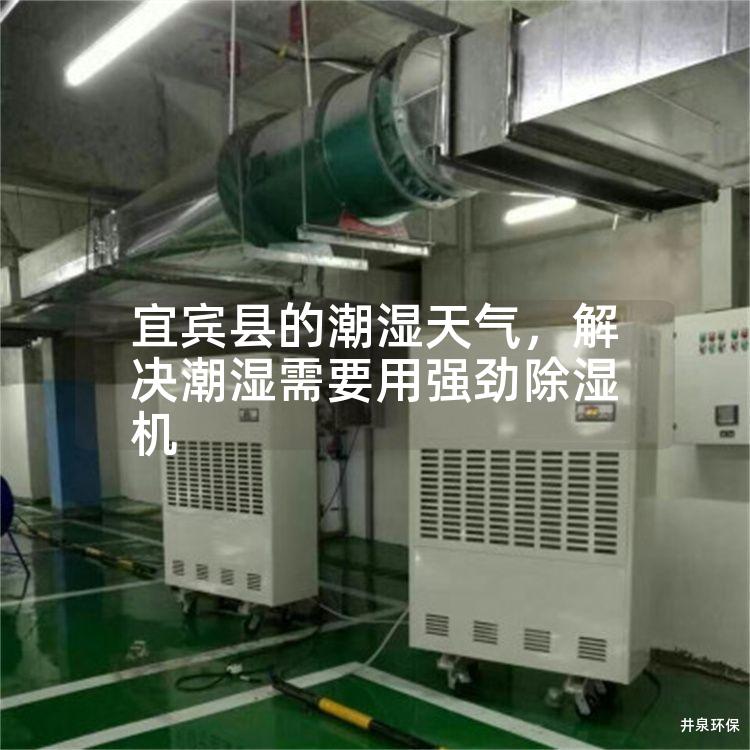 宜賓縣的潮濕天氣<div   id=