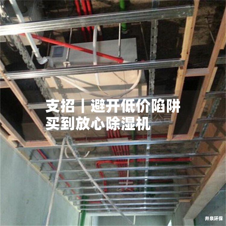 支招｜避開低價陷阱 買到放心除濕機