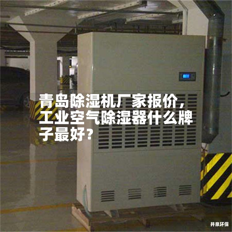 青島除濕機(jī)廠家報(bào)價(jià)，工業(yè)空氣除濕器什么牌子*好<div   id=