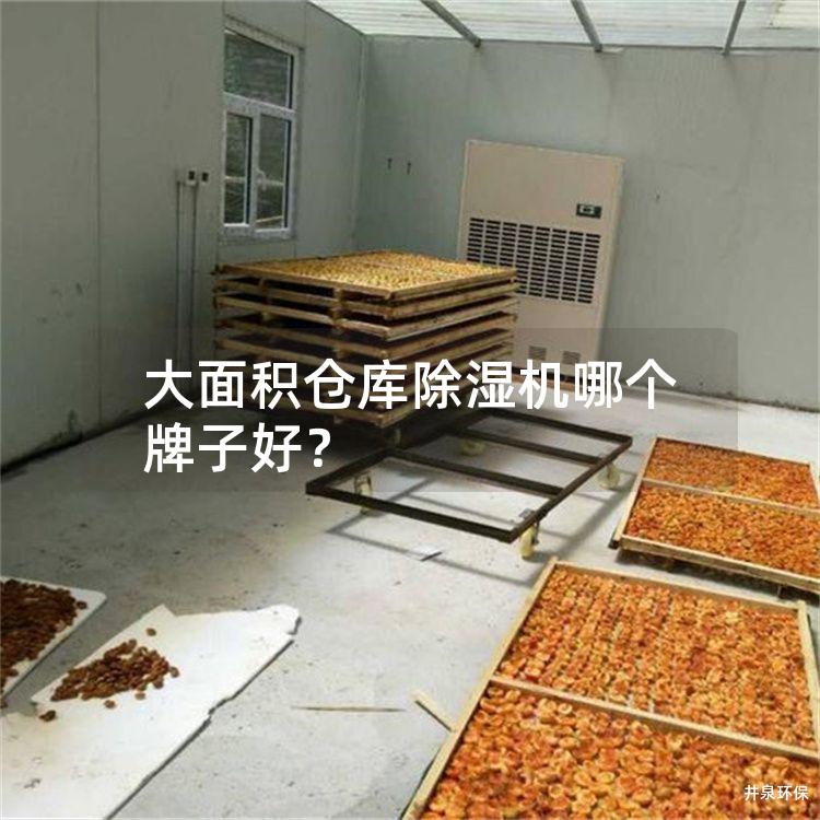 大面積倉庫除濕機(jī)哪個(gè)牌子好<div   id=