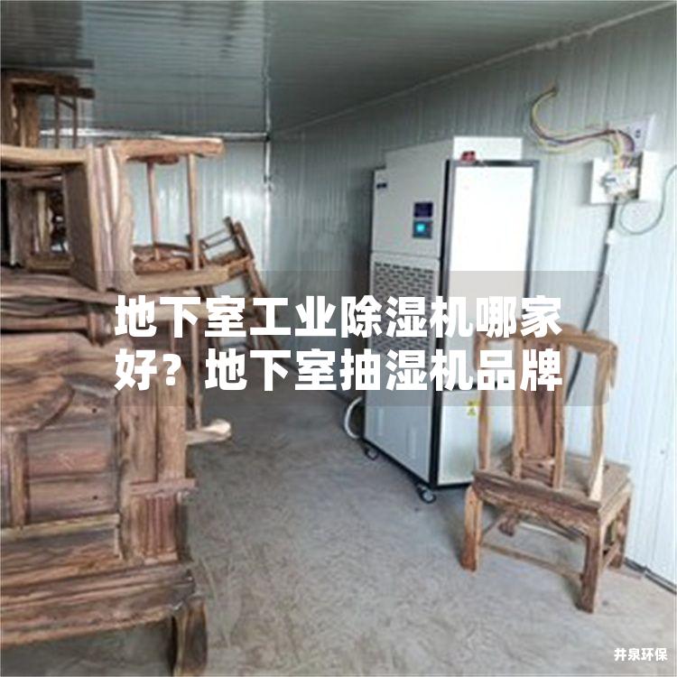 地下室工業(yè)除濕機(jī)哪家好？地下室抽濕機(jī)品牌