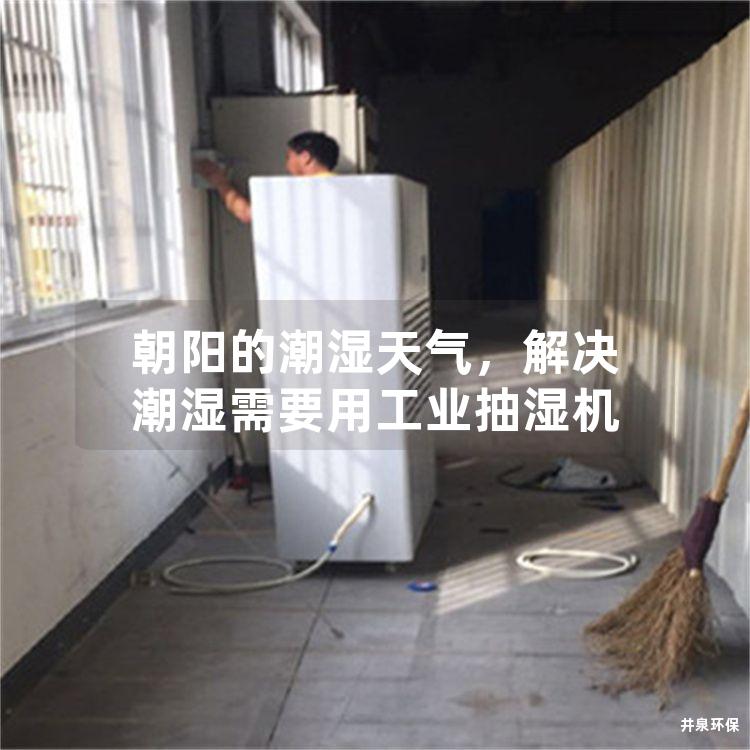 朝陽的潮濕天氣<div   id=