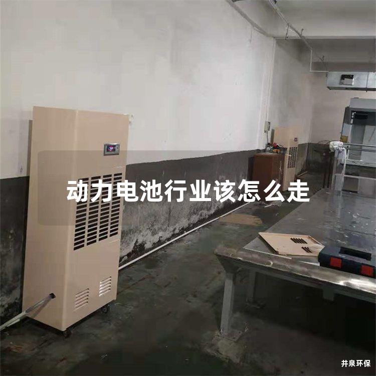 動力電池行業(yè)該怎么走