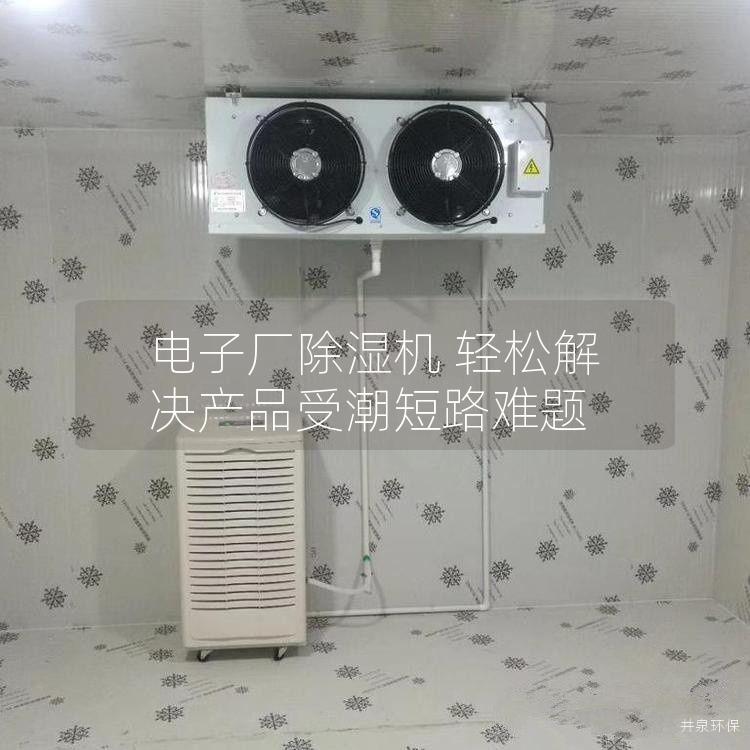 電子廠除濕機 輕松解決產(chǎn)品受潮短路難題