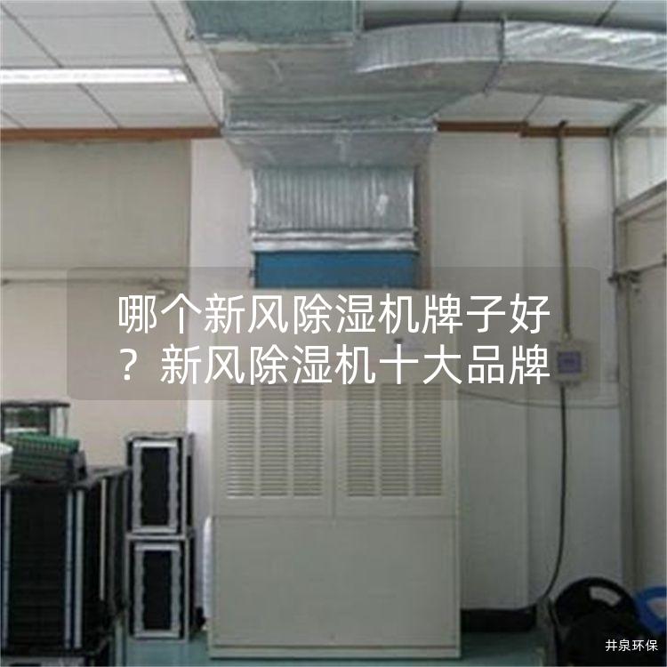 哪個(gè)新風(fēng)除濕機(jī)牌子好<div   id=