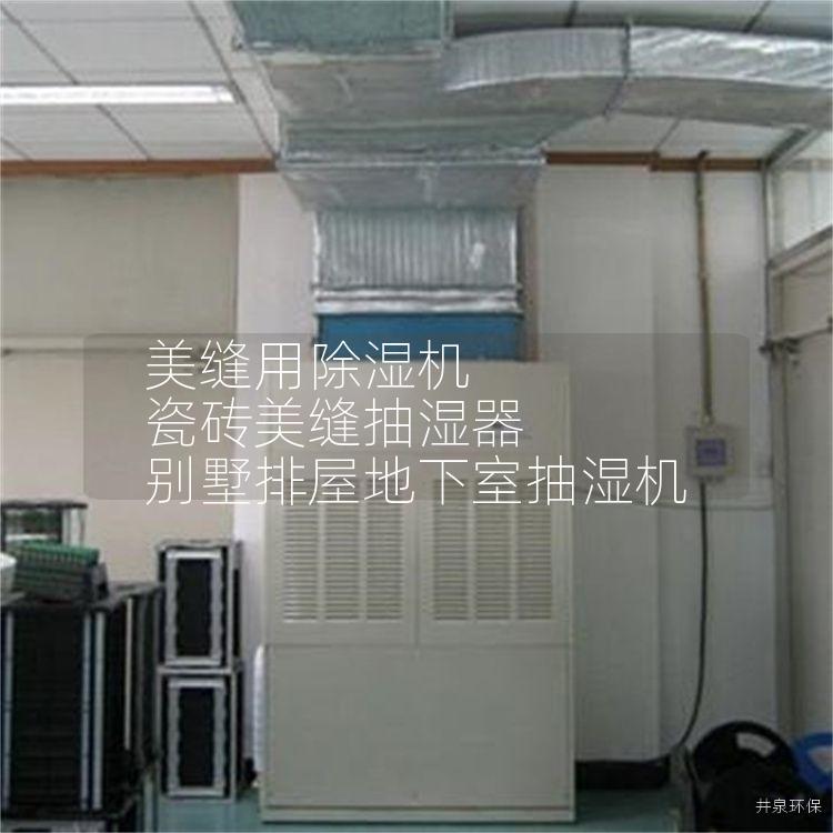 美縫用除濕機(jī) 瓷磚美縫抽濕器 別墅排屋地下室抽濕機(jī)