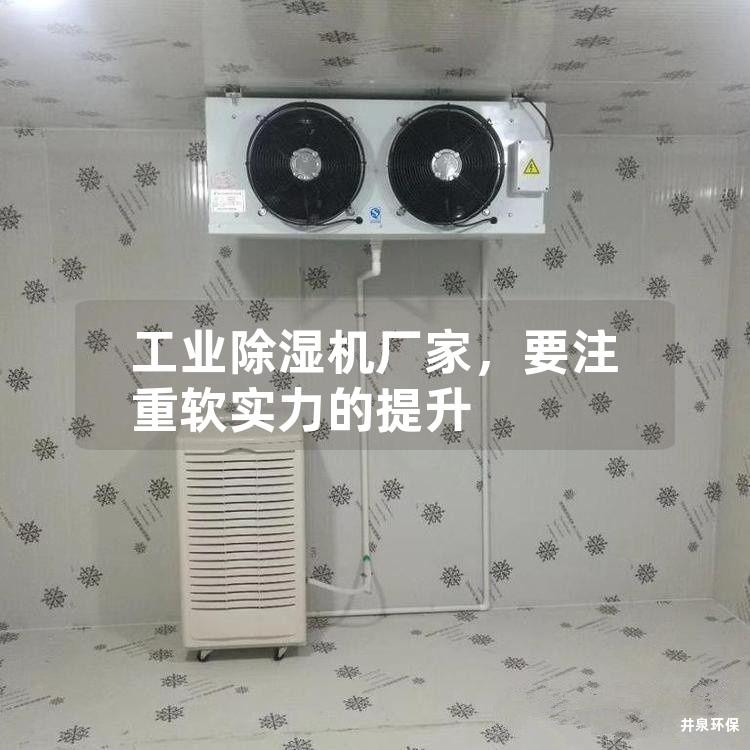工業(yè)除濕機廠家，要注重軟實力的提升