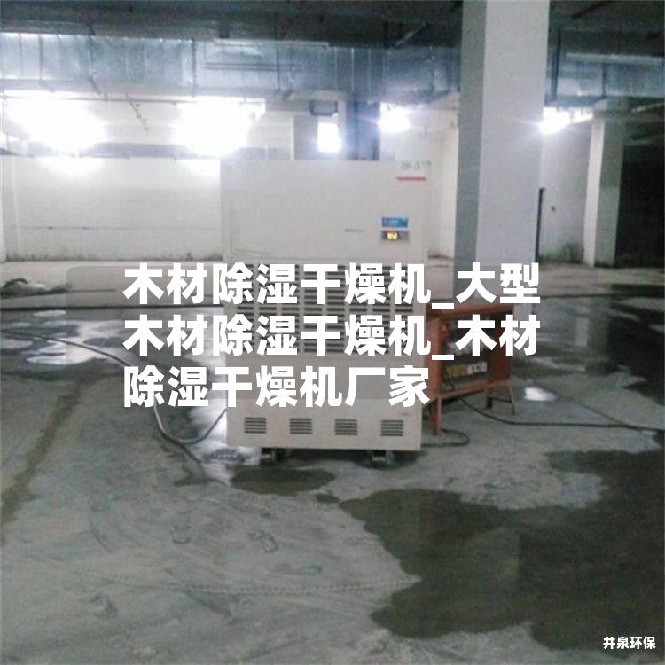 木材除濕干燥機_大型木材除濕干燥機_木材除濕干燥機廠家