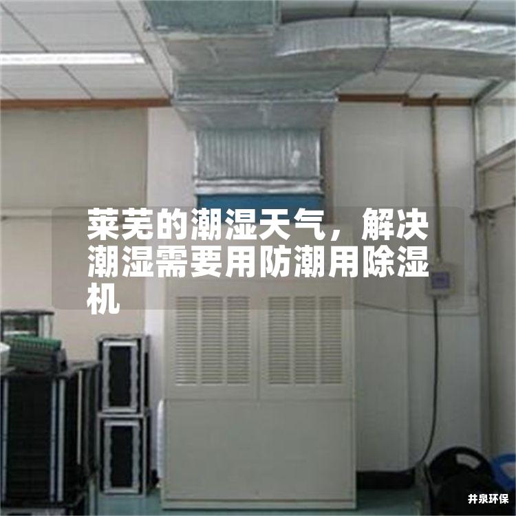 萊蕪的潮濕天氣，解決潮濕需要用防潮用除濕機