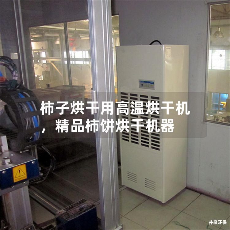 柿子烘干用高溫烘干機，精品柿餅烘干機器