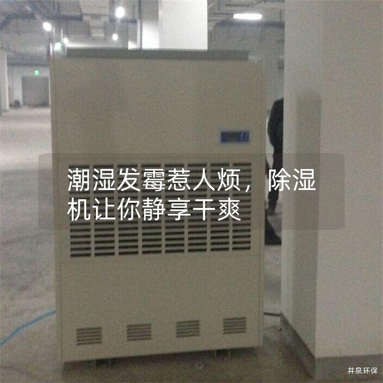 潮濕發(fā)霉惹人煩，除濕機(jī)讓你靜享干爽