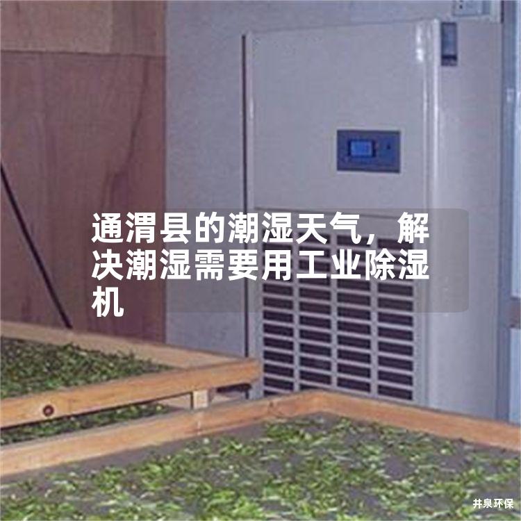 通渭縣的潮濕天氣，解決潮濕需要用工業(yè)除濕機(jī)