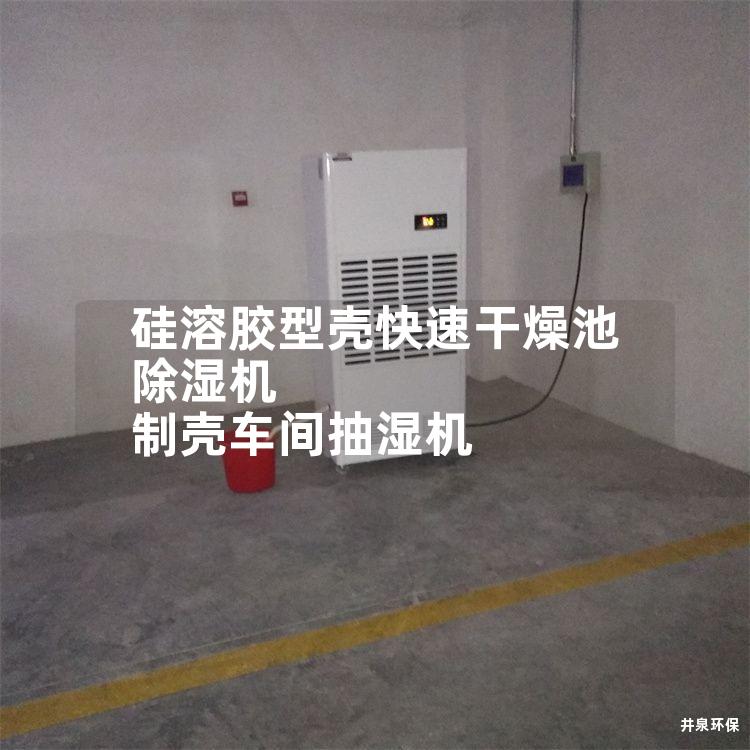 硅溶膠型殼快速干燥池除濕機(jī) 制殼車(chē)間抽濕機(jī)