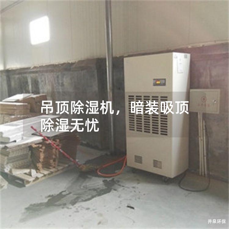 吊頂除濕機(jī)，暗裝吸頂除濕無(wú)憂(yōu)