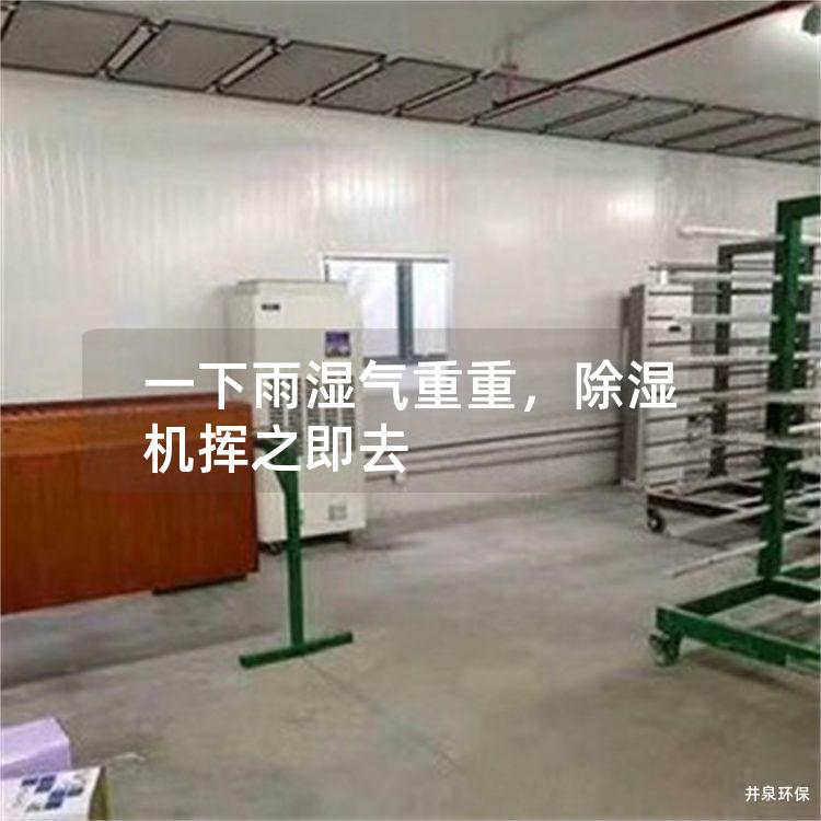 一下雨濕氣重重，除濕機(jī)揮之即去