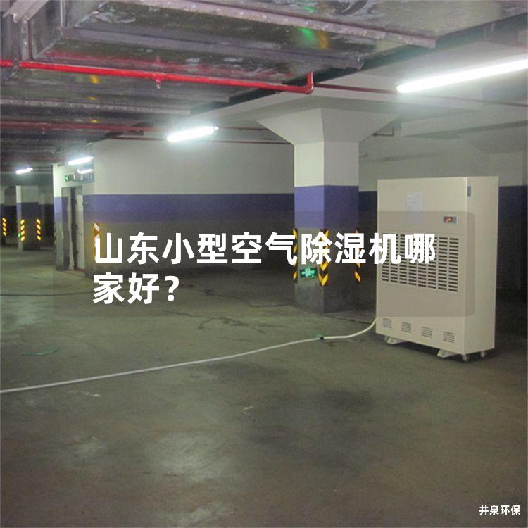 山東小型空氣除濕機(jī)哪家好<div   id=