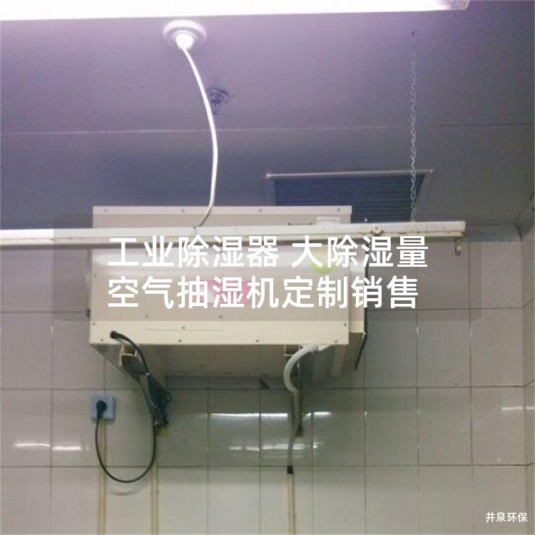 工業(yè)除濕器 大除濕量空氣抽濕機定制銷售