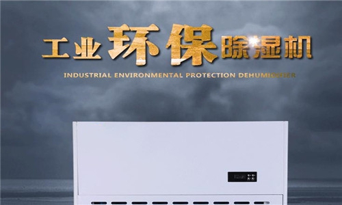 檔案庫房購買強勁除濕機的重要性