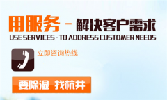 別墅吊裝式新風凈化除濕一體機
