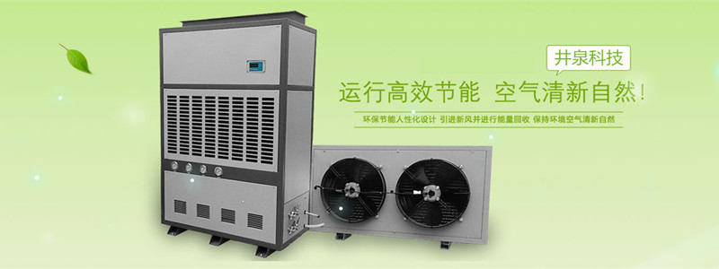 別墅吊裝式新風(fēng)凈化除濕**體機(jī)