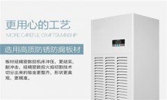 工業(yè)智能型抽濕機(jī)